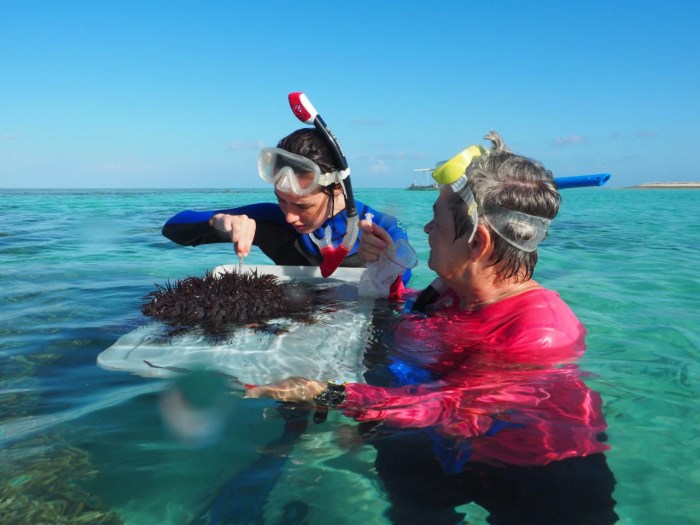 Sejarah biologi laut