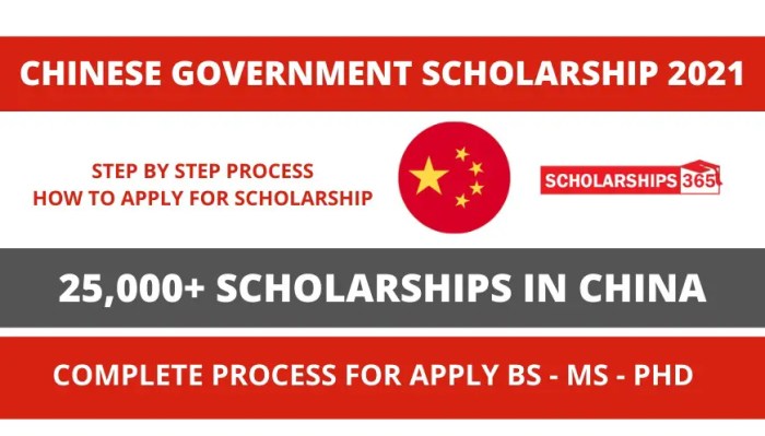 Scholarship csc phd china scholarships bs ms chinese government council