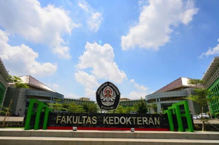 Syarat masuk fakultas kedokteran undip