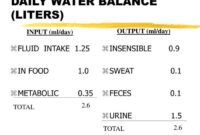 Cara menghitung balance cairan pdf