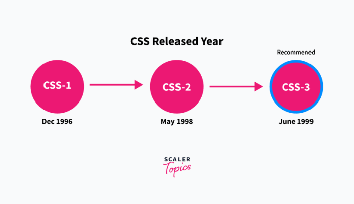 Css cyberpunks ux