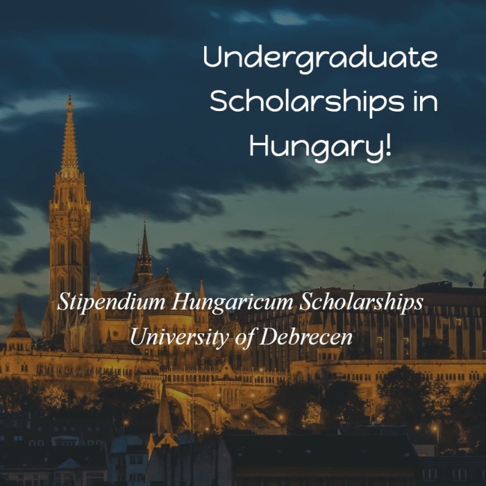 Scholarship hungaria debrecen hungary hungaricum stipendium