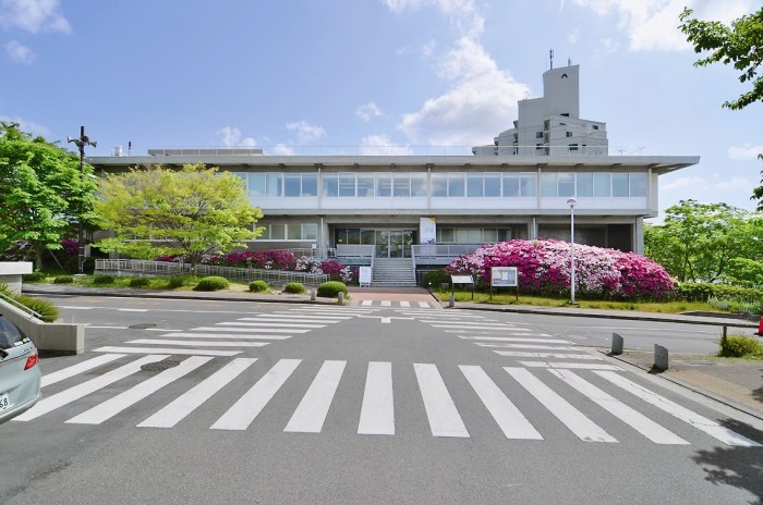 Universitas nagoya