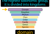 Computer science domain kroell ontological description dlib figure november14 fig1