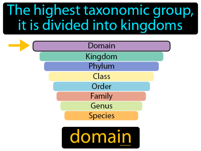 Computer science domain kroell ontological description dlib figure november14 fig1