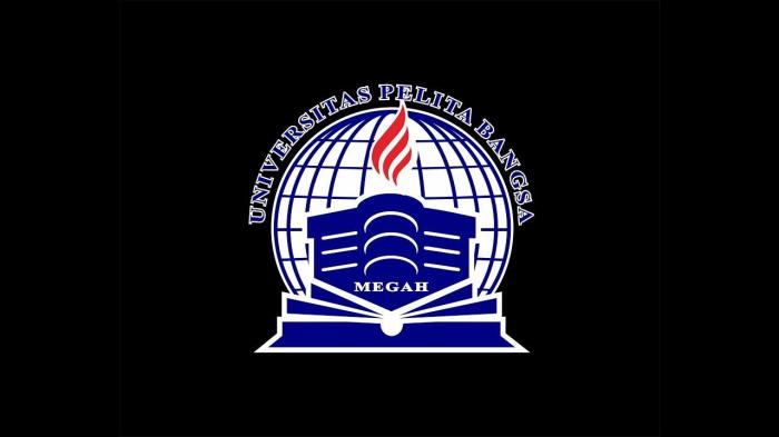 Logo universitas bina bangsa