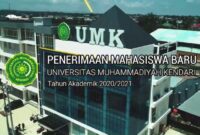 Jurusan universitas muhammadiyah kendari