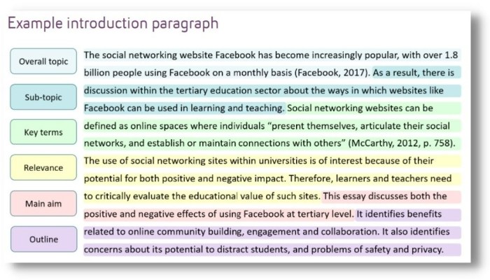 Essay universitas