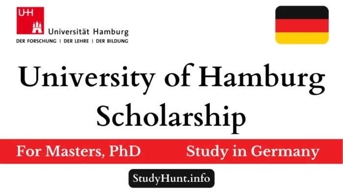 Hamburg university scholarship