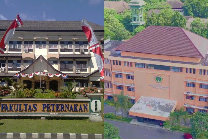 Universitas mataram negeri atau swasta