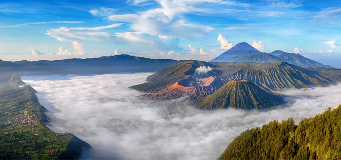 Universitas negeri di jawa timur