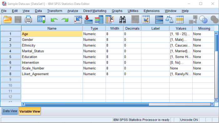 Cara menghitung data responden dengan spss