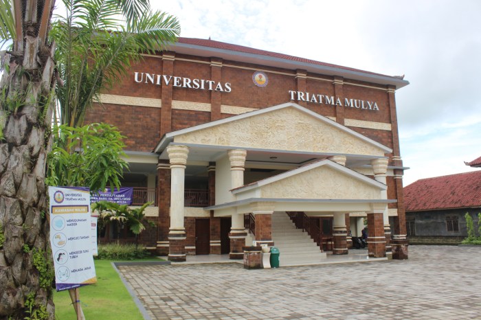 Logo universitas triatma mulya