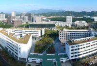 Universitas di shenzhen china