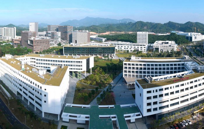 Universitas shenzhen