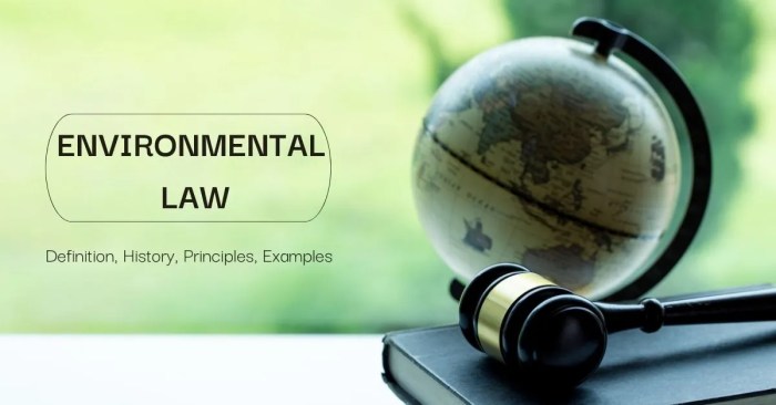 Environmental law