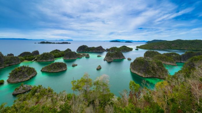 Sejarah pulau papua