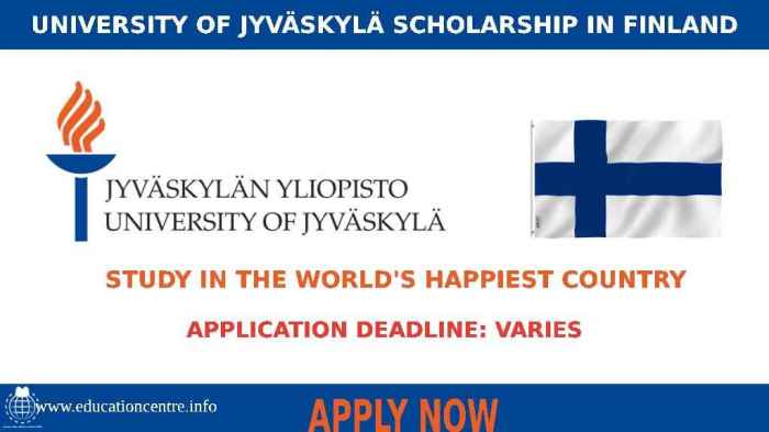 University of jyvskyl scholarship s2 1