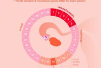 Cara hitung masa subur haid tidak teratur