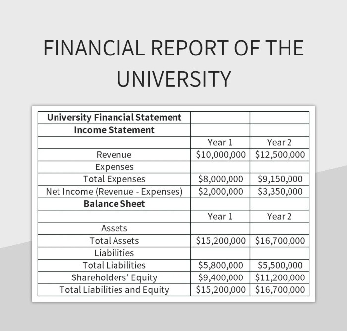 Laporan keuangan universitas