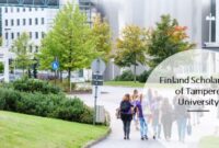 Finland scholarship tampere university s2 1