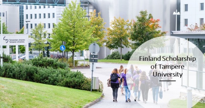 Finland scholarship tampere university s2 1