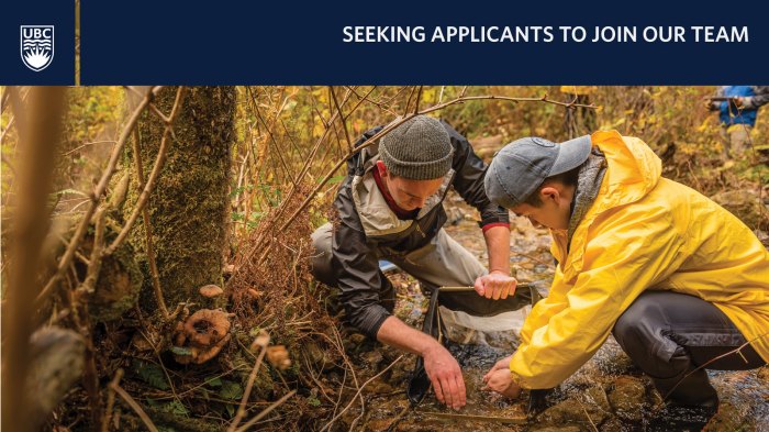 Ubc forestry faculty