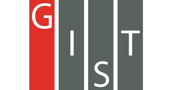 Gist global intern program nondegree 1