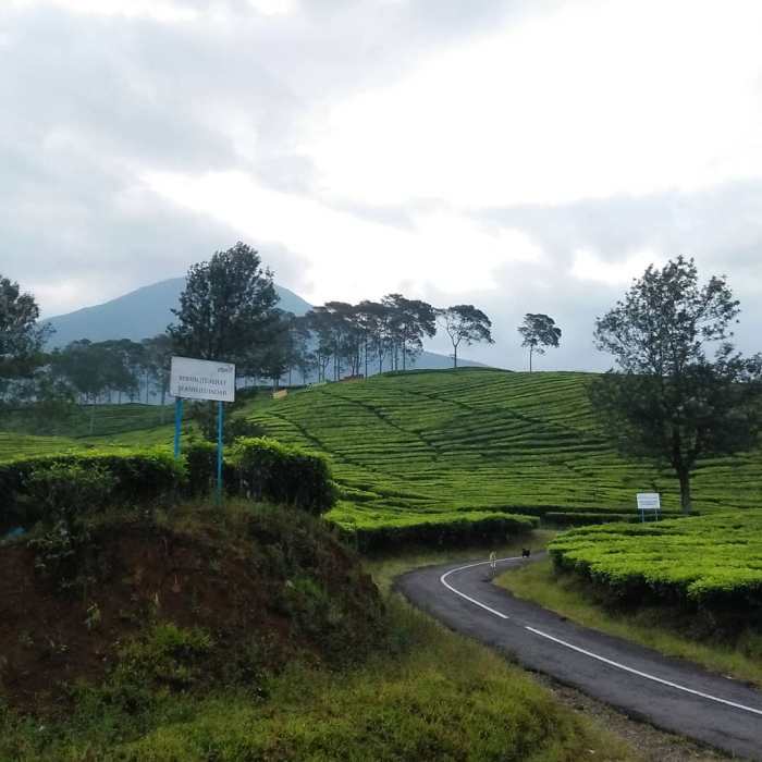 Sejarah gunung dempo