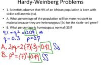 Contoh soal hardy weinberg