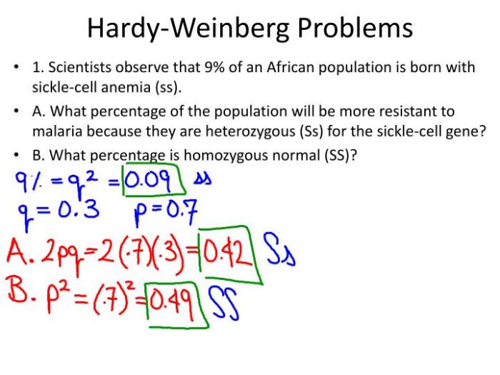 Contoh soal hardy weinberg