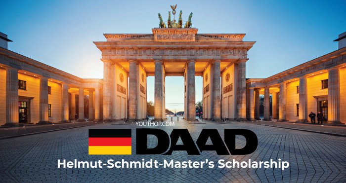 Helmutschmidtprogramme daad universitt passau development studies s2 1