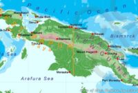 Sejarah papua masuk indonesia