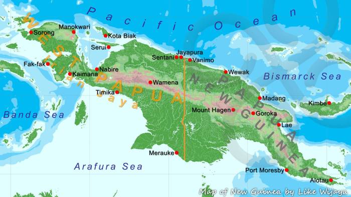 Sejarah papua masuk indonesia