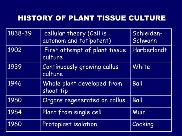 Palm oil tissue culture