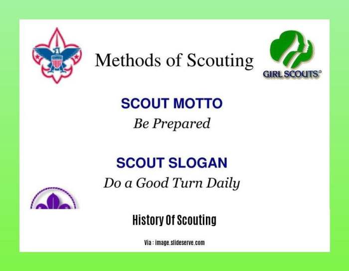 Scouting history poster bsa brief wall