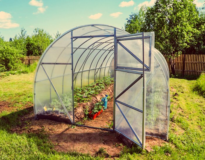 Greenhouse galvanized greenhouses 1450