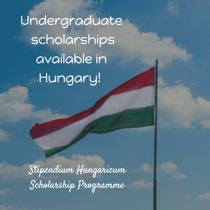 Stipendium hungaricum scholarship program copy s2 1 0wb5u