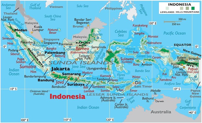 Where are you from arti bahasa indonesia