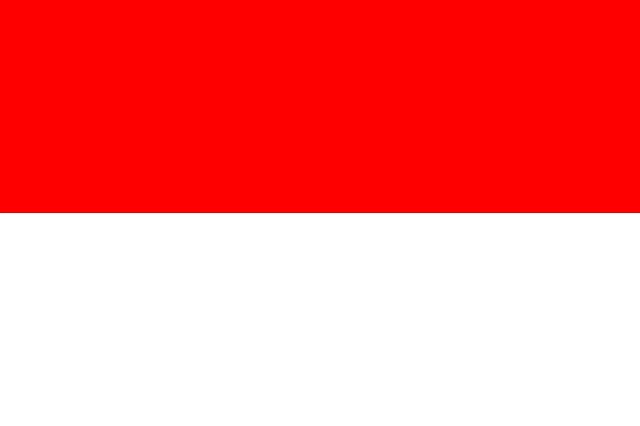 Flag indonesian