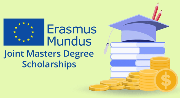 Master mind scholarship erasmus university college brussels s2 1