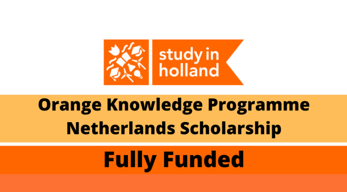 Beasiswa s1 dan s2 dari orange tulip scholarship di belanda