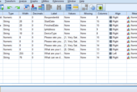 Cara menghitung data responden dengan spss