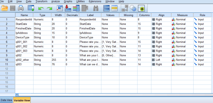 Cara menghitung data responden dengan spss