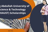 King abdullah university of science and technology scholarship s3 3