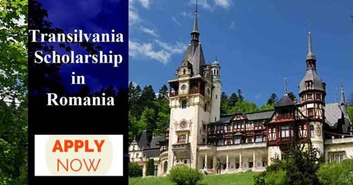 Transilvania academica scholarship s1 s2 d3 1