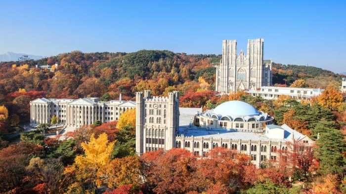 Corea seoul universidades universitas universidad coreanas selatan colegios kampus internados universities jadi seúl kamu escolares 1905 universitaria seul mandarin bisa