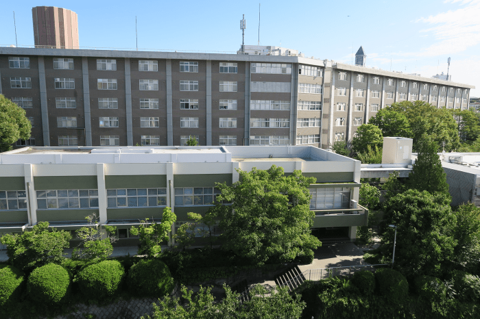 Mext university recommendation program for nurturing global leaders in environmental and pharmacomedical safety sciences nagoya city university s2s3 s2 s3 1