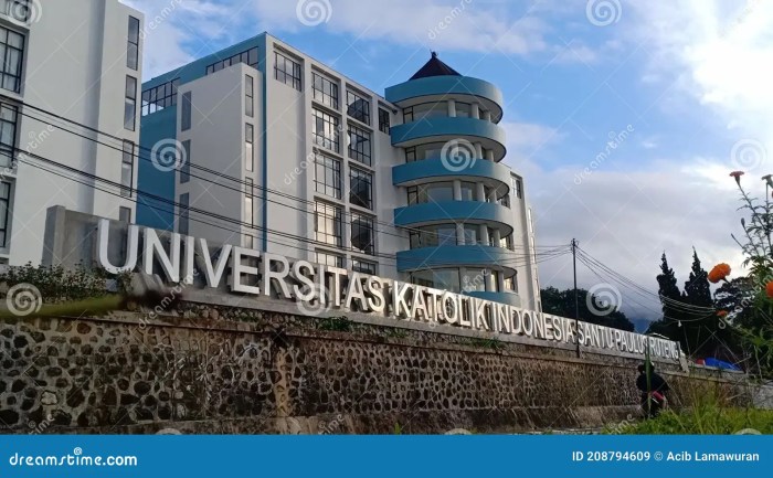 Universitas katolik indonesia santu paulus ruteng