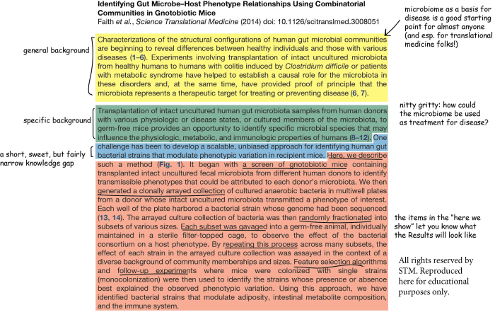 Contoh pendahuluan dalam artikel